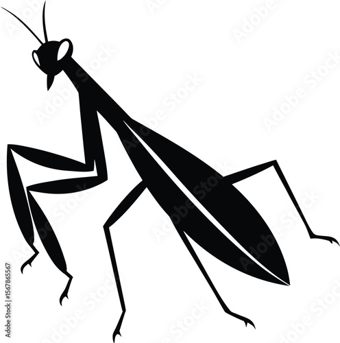 praying mantis on white background.eps