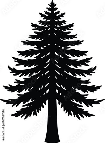 redwood tree on white background.eps