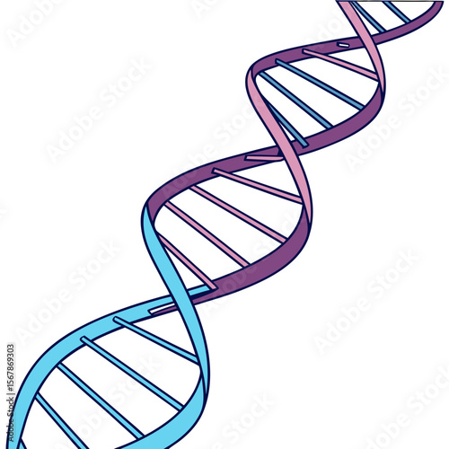 Blue and purple D N A helix genetic biology