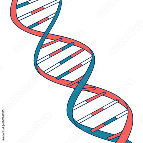 Coral Teal Blue D N A Helix Structure science biology