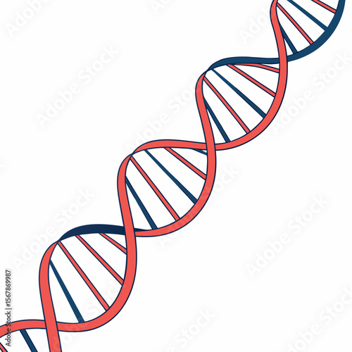 Coral and navy blue D N A helix double helix science