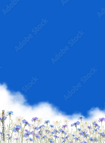 blue flowers frame