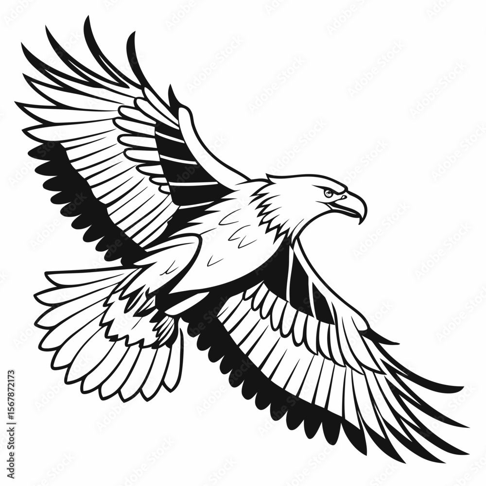 Obraz premium Majestic eagle in flight bird flying