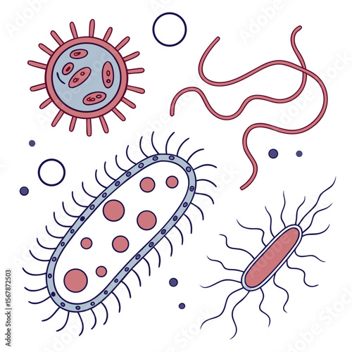 Microscopic organisms with appendages and internal structures