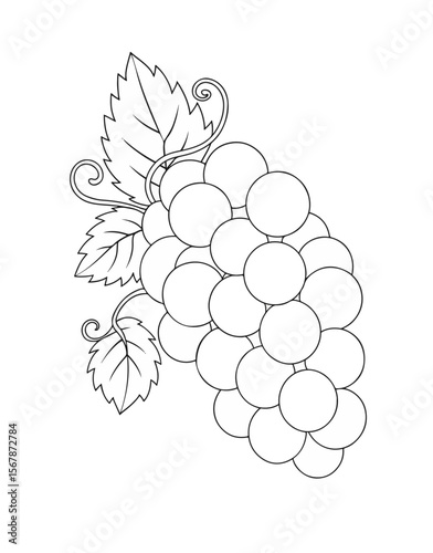 Grape Bunch Illustration: A delicate line drawing of a plump grape bunch, complete with detailed leaves and vines. The image evokes the simple elegance and natural beauty of harvest.