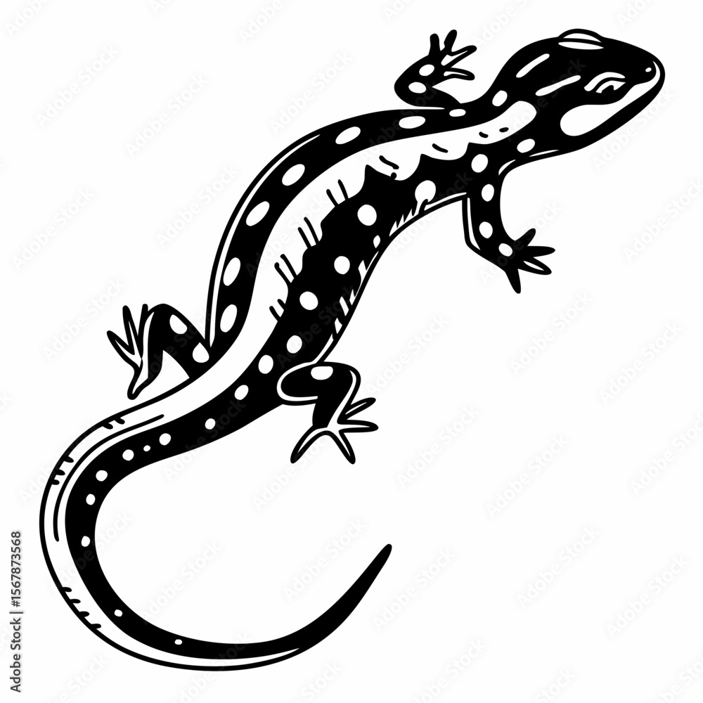 Fototapeta premium Illustration of a black and white salamander with spots and a curved tail on a white background artfully drawn created with generated ai
