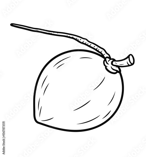 Coconut outline: A clean, simple outline illustration of a coconut, capturing its smooth round shape and attached stem, perfect for minimalistic design.