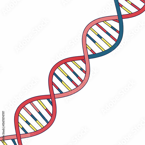 Red blue yellow D N A helix double helix biology