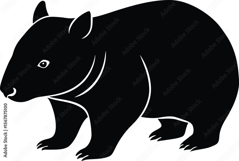 Fototapeta premium wombat on white background.eps