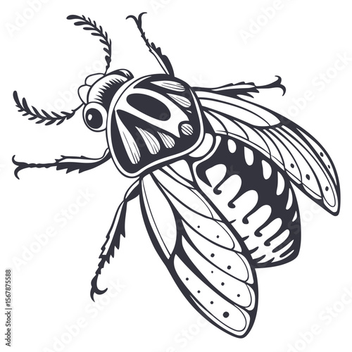 Stylized dark insect with intricate wings beetle entomology