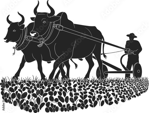 Traditional farmer with two oxen plowing cultivated field, rural agriculture, farming heritage, countryside livestock work, soil preparation, vintage vector illustration