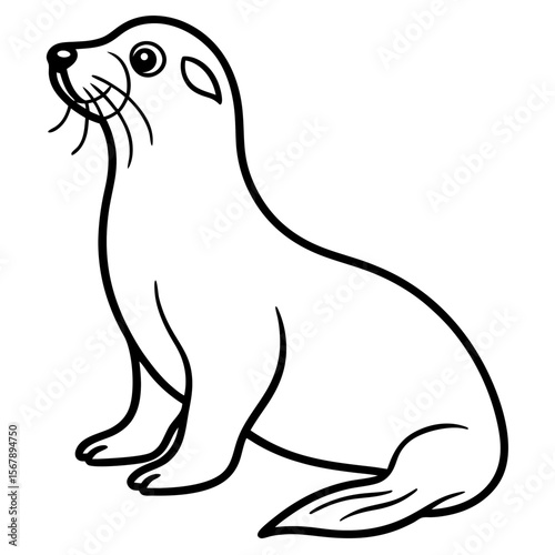 White Sea Lion Sketch