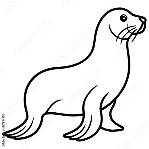 White Sea Lion Sketch