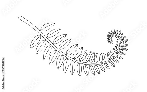 Elegant black and white line drawing of a fern frond unfurling in a graceful spiral pattern