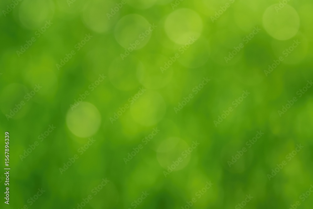 Obraz premium Abstract green bokeh with soft light effects