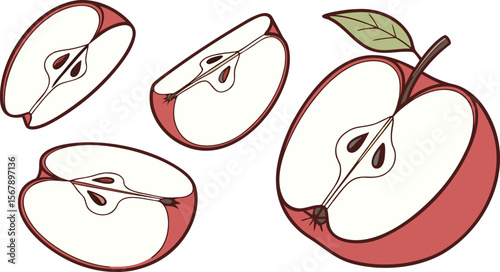 Sliced Apples Vector Illustration of Red Apple Pieces