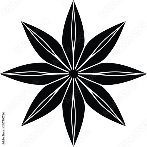 Star anise silhouette spice eight point star botanical illustration