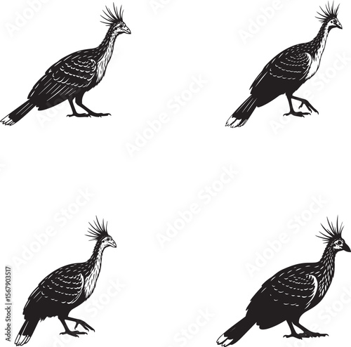  Hoatzin Silhouettes