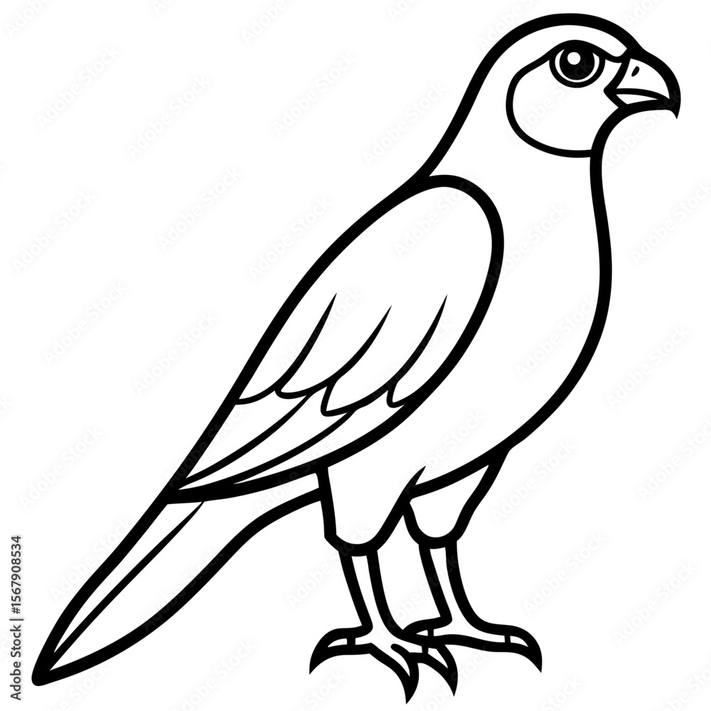 Fototapeta premium White Sparrowhawk Line Art