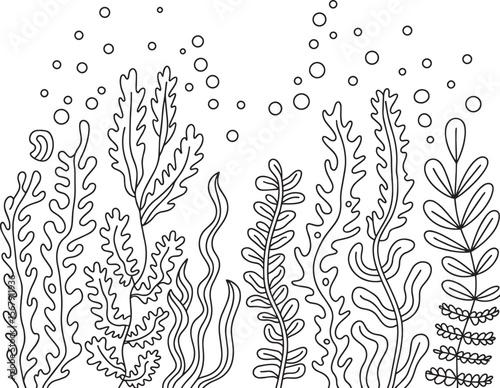 Hand Drawn Underwater Seaweed and Algae Vector Line Art for Coloring and Decoration, Underwater Plants Line Art, Ocean Coloring Page, Marine Flora Outline, Sea Plants Illustration