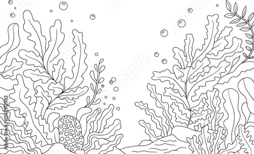 Hand Drawn Underwater Seaweed and Algae Vector Line Art for Coloring and Decoration, Underwater Plants Line Art, Ocean Coloring Page, Marine Flora Outline, Sea Plants Illustration