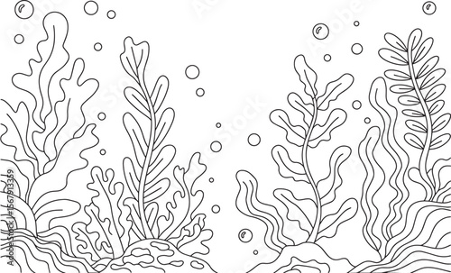 Hand Drawn Underwater Seaweed and Algae Vector Line Art for Coloring and Decoration, Underwater Plants Line Art, Ocean Coloring Page, Marine Flora Outline, Sea Plants Illustration