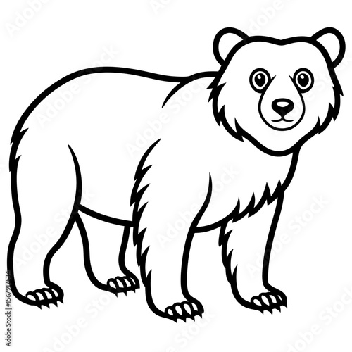 White Vector Sketch Spectacled Bear