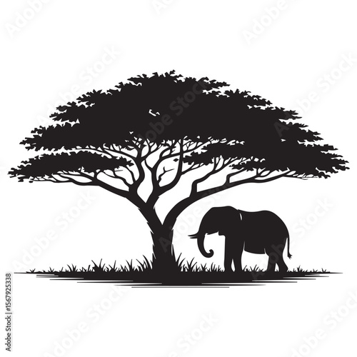 Silhouette of an elephant standing under a large acacia tree in the african savanna