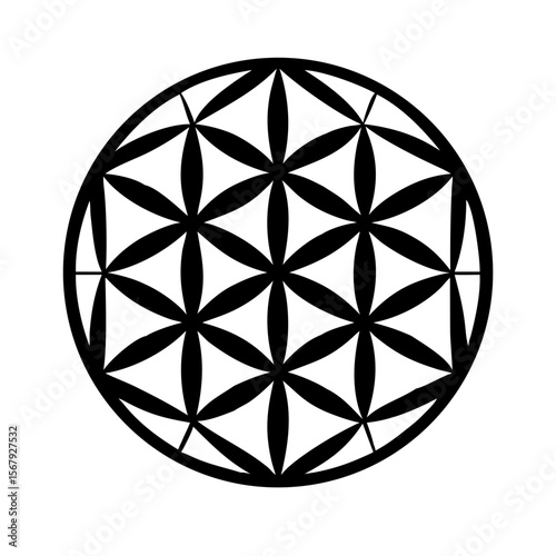 Flower of life Mandala Sacred geometry black icon in round circle vector outline contour illustration, black line