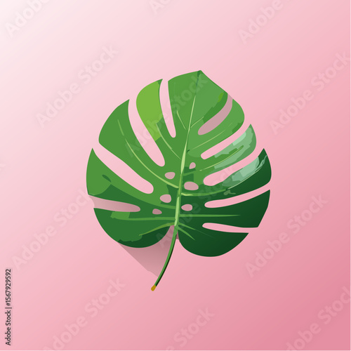 A vibrant illustration of a large green Monstera leaf against a soft pink background.