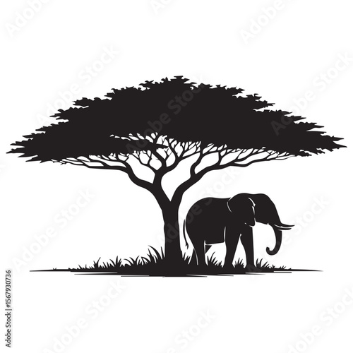 Silhouette of an elephant standing under a large acacia tree in the african savanna landscape