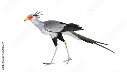 secretary-bird-in-digital-painting (1)
