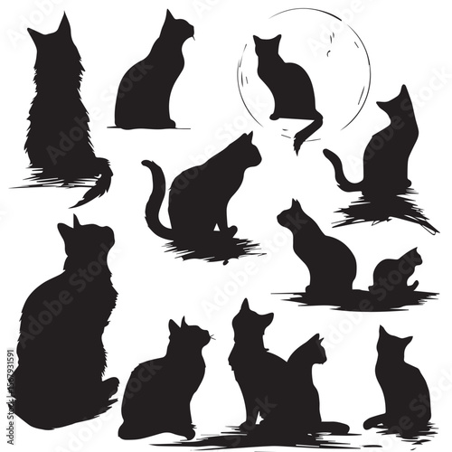 cats in the night vector with moon