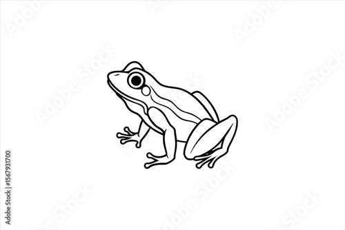 Simple Line Art Illustration of a Frog