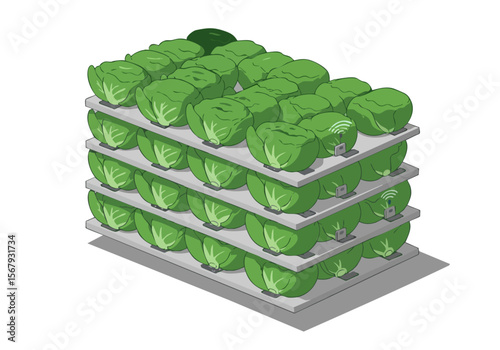 A layered lettuce farm utilizes IoT technology for optimized growth. Modern, stacked hydroponic system with wireless sensors. Clean, bright, and technologically advanced.