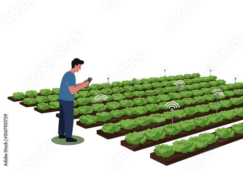 A man monitors a smart farm with IoT sensors, optimizing crop health. Modern agricultural technology, vibrant greens, and a clear visual focus.