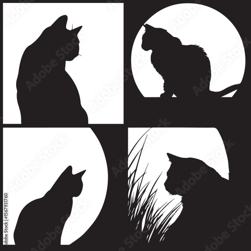 cats in the night vector with moon
