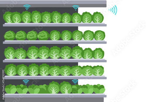 A modern vertical farm showcases leafy lettuce with IoT sensors. Clean, bright, and technologically advanced. Ideal for showcasing sustainable agriculture and smart systems.