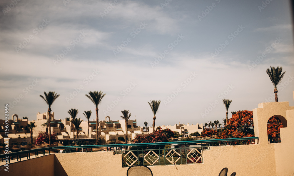 Fototapeta premium palm trees on the beach