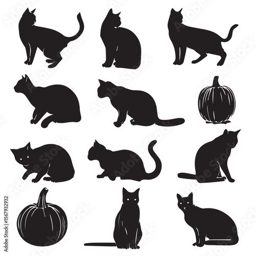 set of Halloween pumpkins with cat