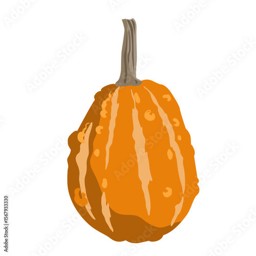 Cute small decorative pumpkin illustration isolated on white. Vector drawing.