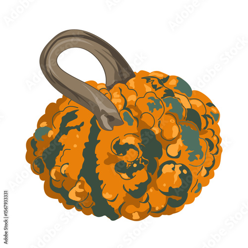 Funny small decorative pimpled pumpkin illustration isolated on white. Pimply and warty gourd vector drawing.