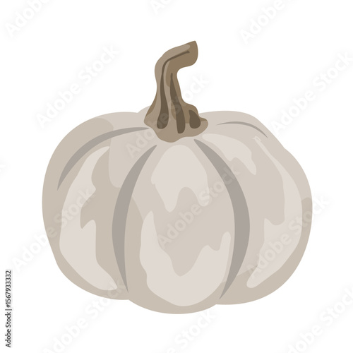 Cute small decorative pumpkin illustration isolated on white. Vector drawing.