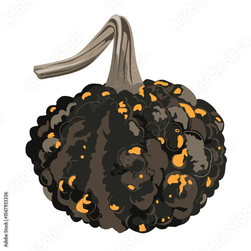 Funny small decorative pimpled pumpkin illustration isolated on white. Pimply and warty gourd vector drawing.