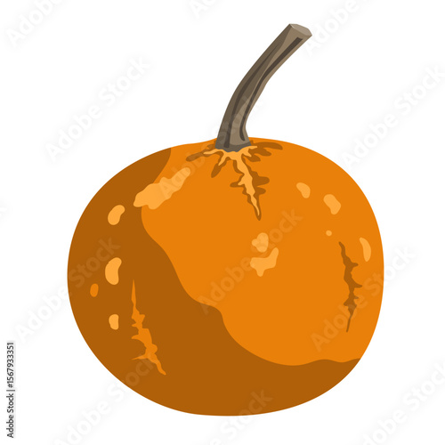 Cute small decorative pumpkin illustration isolated on white. Vector drawing.