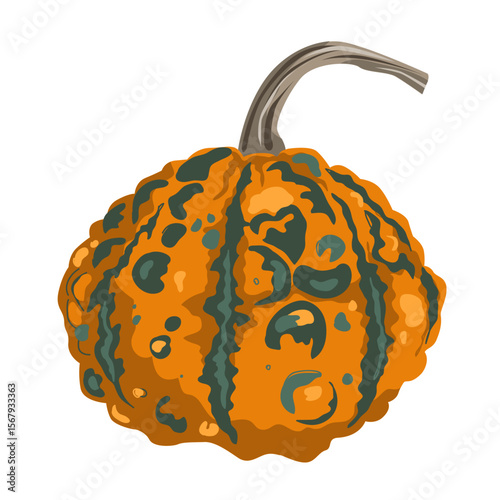 Funny small decorative pimpled pumpkin illustration isolated on white. Pimply and warty gourd vector drawing.
