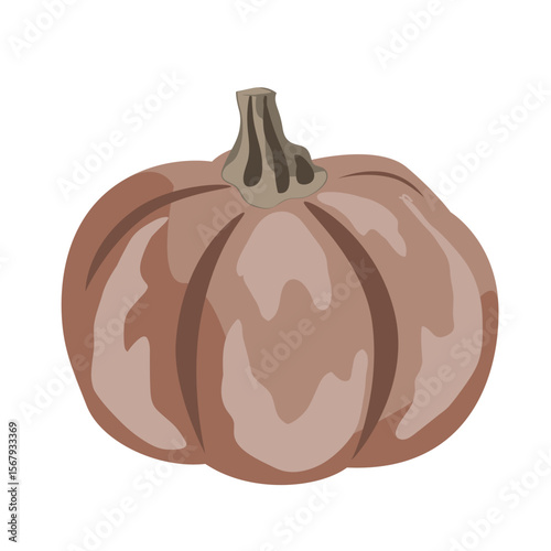 Cute small decorative pumpkin illustration isolated on white. Vector drawing.