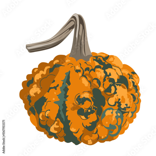 Funny small decorative pimpled pumpkin illustration isolated on white. Pimply and warty gourd vector drawing.