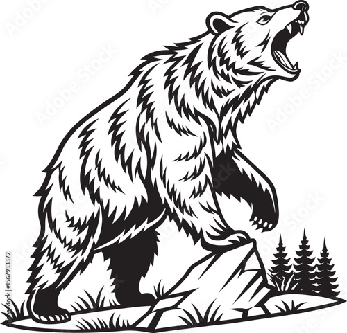 brown bear vector illustration