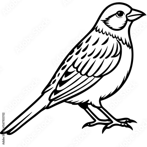 Yellowhammer Bird Sketch Vector Linework
